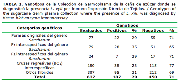 TABLA 2. Genotipos de la Colección de Germoplasma de la caña de azúcar donde se diagnosticó la presencia L. xyli por Inmuno Impresión Directa de Tejidos. / Genotypes of the sugarcane Germ plasma collection where the presence of L. xili. was diagnosed by tissue-blot enzyme immunoassay.