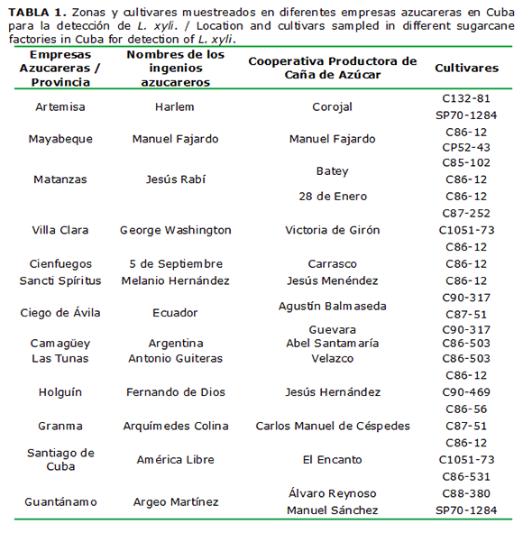 TABLA 1. Zonas y cultivares muestreados en diferentes empresas azucareras en Cuba para la detección de L. xyli. / Location and cultivars sampled in different sugarcane factories in Cuba for detection of L. xyli.