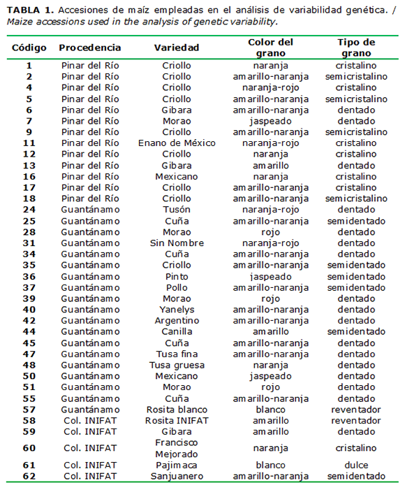 TABLA 1. Accesiones de maíz empleadas en el análisis de variabilidad genética. / Maize accessions used in the analysis of genetic variability.