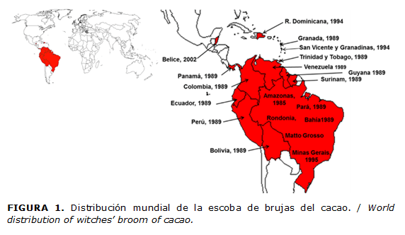 FIGURA 1. Distribución mundial de la escoba de brujas del cacao. / World distribution of witches’ broom of cacao.