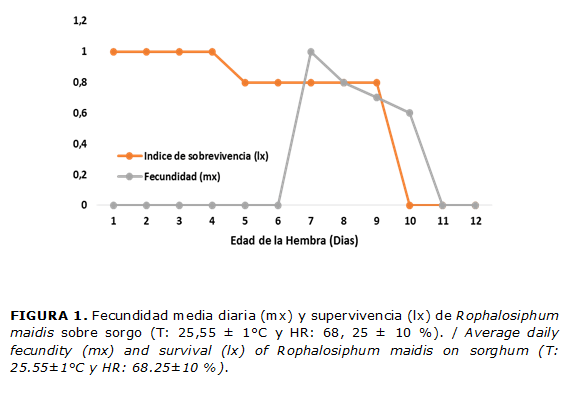 FIGURA 1. Fecundidad media diaria (mx) y supervivencia (lx) de Rophalosiphum maidis sobre sorgo (T: 25,55 ± 1°C y HR: 68, 25 ± 10 %). / Average daily fecundity (mx) and survival (lx) of Rophalosiphum maidis on sorghum (T: 25.55±1°C y HR: 68.25±10 %).