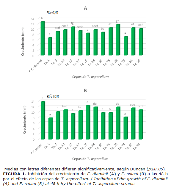 FIGURA 1. Inhibición del crecimiento de F. dlaminii (A) y F. solani (B) a las 48 h por el efecto de las cepas de T. asperellum. / Inhibition of the growth of F. dlaminii (A) and F. solani (B) at 48 h by the effect of T. asperellum strains.