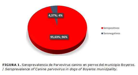 FIGURA 1. Seroprevalencia de Parvovirus canino en perros del municipio Boyeros. / Seroprevalence of Canine parvovirus in dogs of Boyeros municipality.