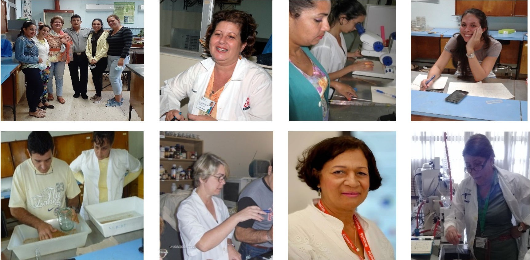 Miembros del equipo del CENSA, Cuba, que desarrollan los estudios moleculares de cepas de NEP y caracterización de bacterias simbiontes; compatibilidad de nematodos con productos naturales; optimización de la producción masiva y formulación de H. amazonensis cepa HC1 / Members of CENSA`s team, Cuba, in charge of molecular studies of EPN strains and characterization of symbiotic bacteria and studies on compatibility of nematodes with natural products and optimization of mass production and formulation of H. amazonensis strain HC1
